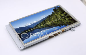 visualizadores LCD / inteligentes / industriales
