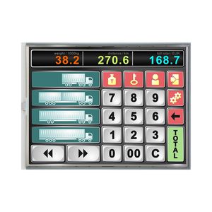 módulo de visualización TFT LCD 1