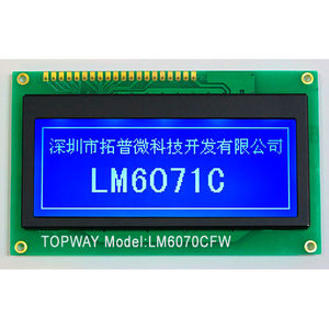 visualizador LCD 1