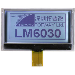 visualizador LCD 1
