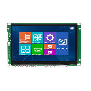 módulo de visualización LCD 1