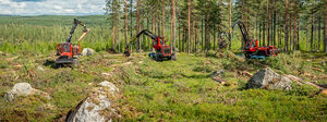 autocargador forestal 1