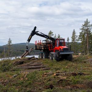 autocargador forestal 1