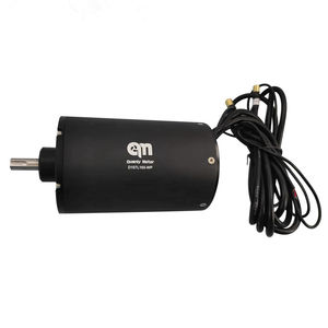motor brushless