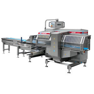 máquina de embalaje flowpack 1