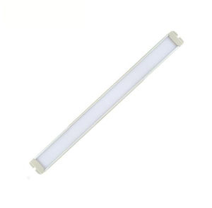 LED blanco 1
