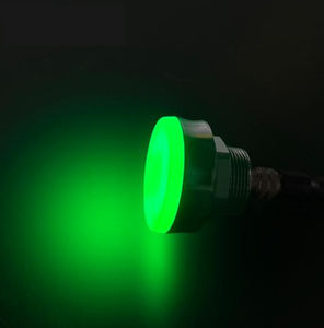 indicador luminoso permanente 1