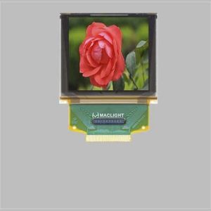 módulo de visualización OLEDs 1