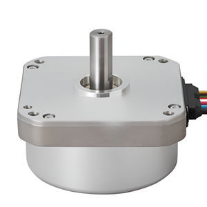 motor brushless