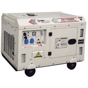 grupo electrógeno diésel 1