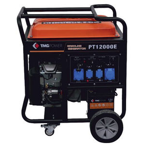 grupo electrógeno con motor de gasolina 1