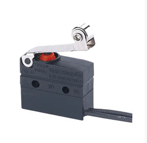 microrruptor de palanca