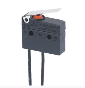 microrruptor de palanca