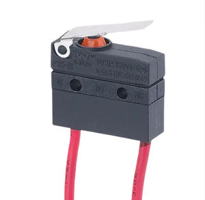 microrruptor de palanca