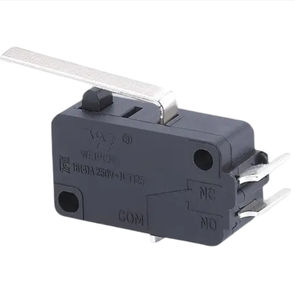 microrruptor de palanca