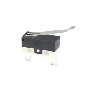 microrruptor de palanca