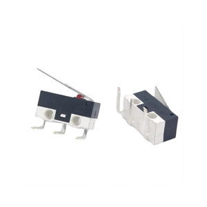 microrruptor de palanca