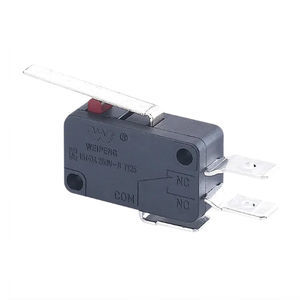 microrruptor de palanca