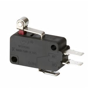 microrruptor de palanca