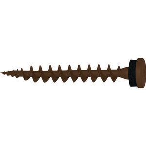 tornillo de fijación 1