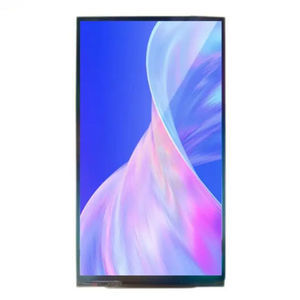módulo de visualización IPS
