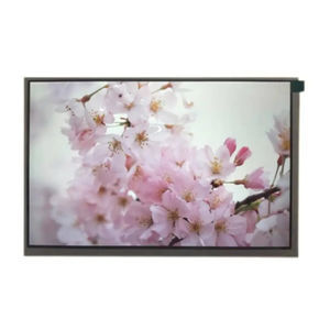 módulo de visualización TFT LCD