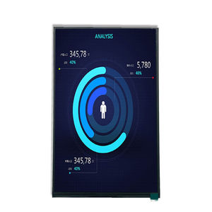módulo de visualización 10.1