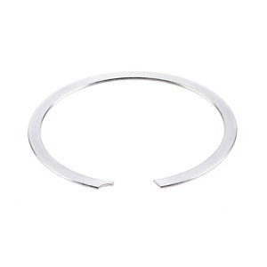 anillo de retención interno