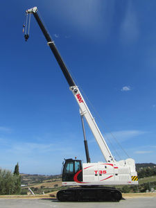 grúa con orugas 1