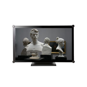 monitor LCD