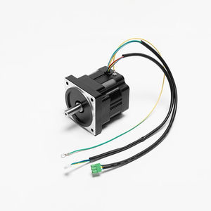 servomotor brushless