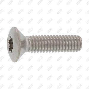 tornillo de punta oval