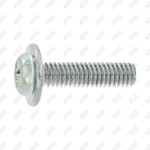 tornillo de fijación
