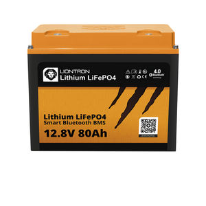 batería LiFePO4
