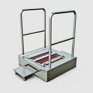 esclusa higiénica con limpiador de suelas