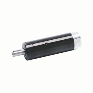motor neumático con paleta