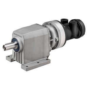 motor neumático de engranaje