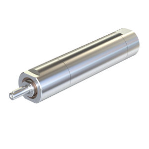 motor neumático con paleta 1