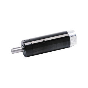 motor neumático con paleta 1