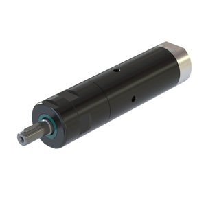 motor neumático con paleta 1