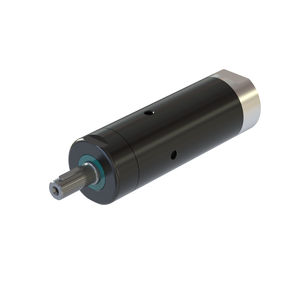 motor neumático con paleta 1