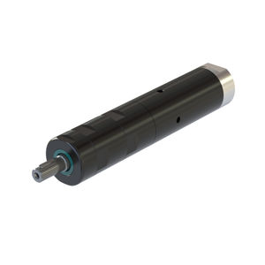 motor neumático con paleta 1