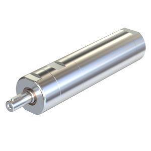 motor neumático con paleta 1