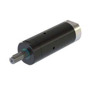 motor neumático con paleta 1