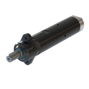 motor neumático con paleta 1