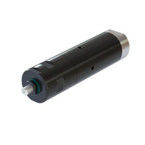 motor neumático con paleta 1