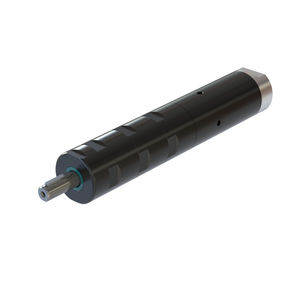 motor neumático con paleta 1