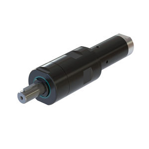 motor neumático con paleta 1