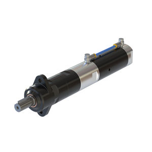 motor neumático con paleta 1