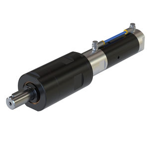motor neumático con paleta 1